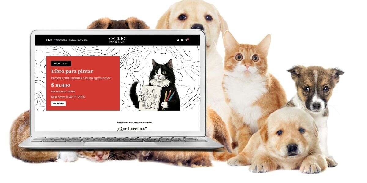 OseiboArt